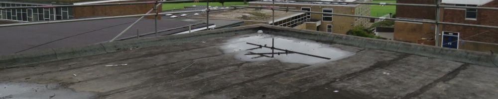 dakreparatie plat dak in Raalte