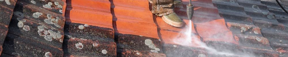 Dakonderhoud Raalte schoonspuiten van dakpannen